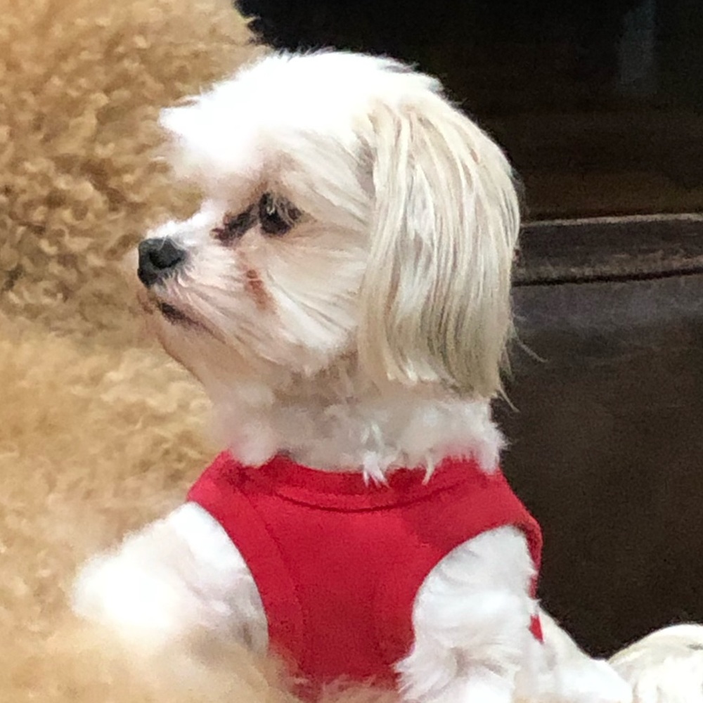 Meet your Posher, Natalie